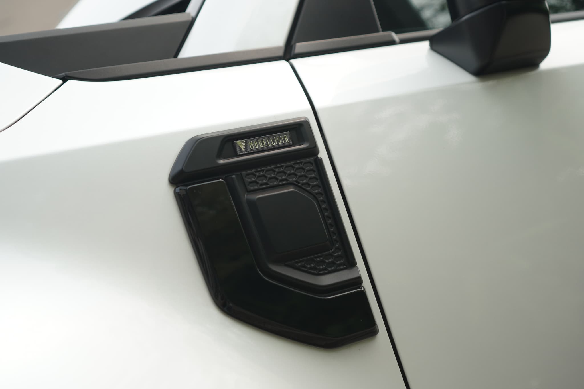 TOYOTA LAND CRUISER 250 ZX FIRST EDITION (MODELISTA) — photo 3 of 4