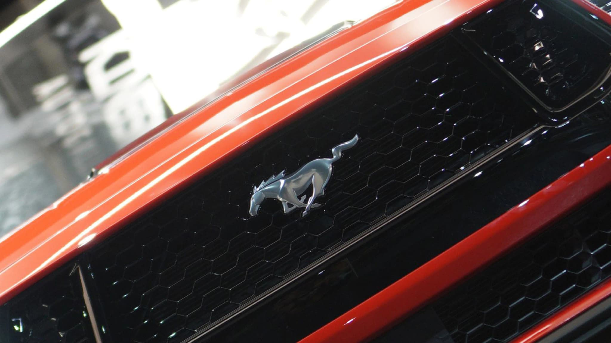 FORD MUSTANG 5.0 GT COUPE — view 16 of 18