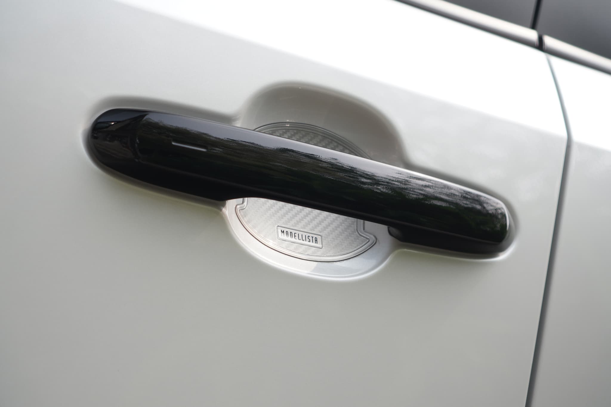 TOYOTA LAND CRUISER 250 ZX FIRST EDITION (MODELISTA) — photo 4 of 4